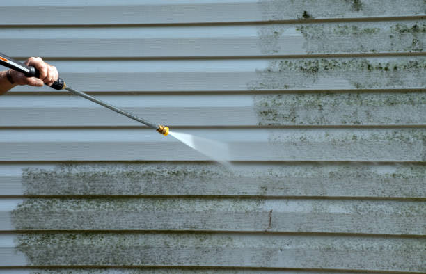 Best Sidewalk and Walkway Cleaning  in De Soto, IL